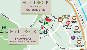 Hillock Green Site Plan